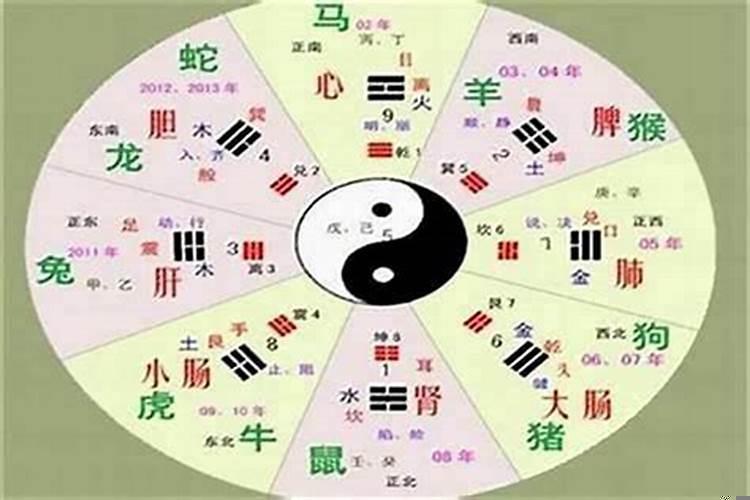 八字怎么看五行属什么