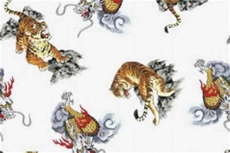 属龙和属虎的能相配吗