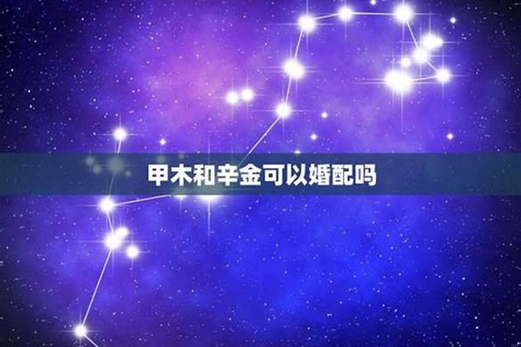 庚金男和甲木女在一起合适吗