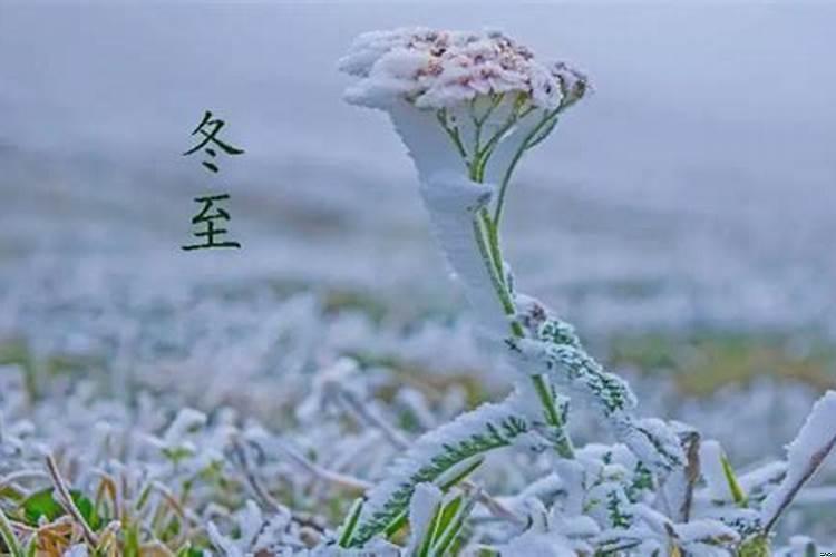 2025年立冬是黄道吉日吗