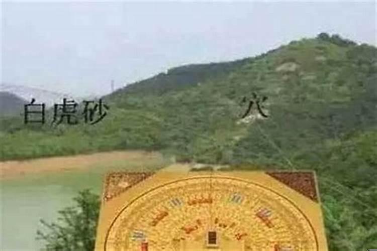 阴阳风水学入门知识