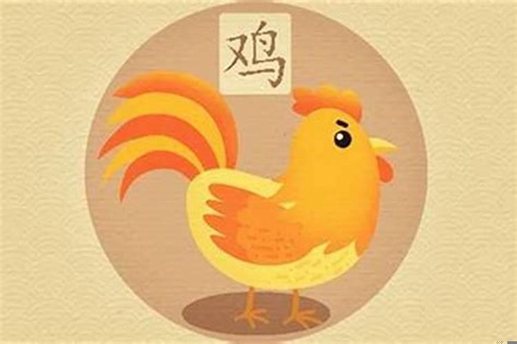 属鸡1981年出生，命运