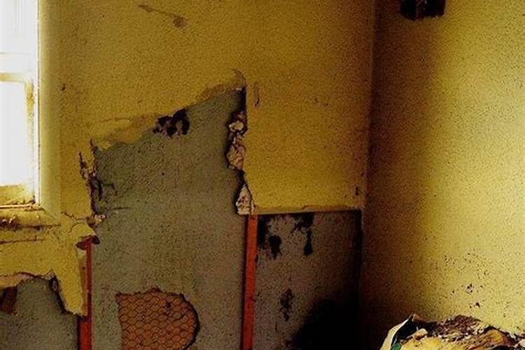 你听说过什么惊人的真实事件