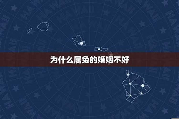 为什么说属兔的人命苦