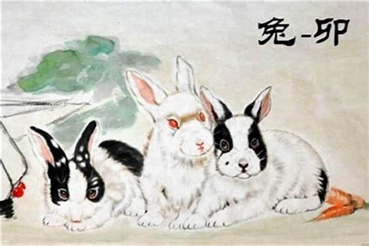87年属兔何时转运