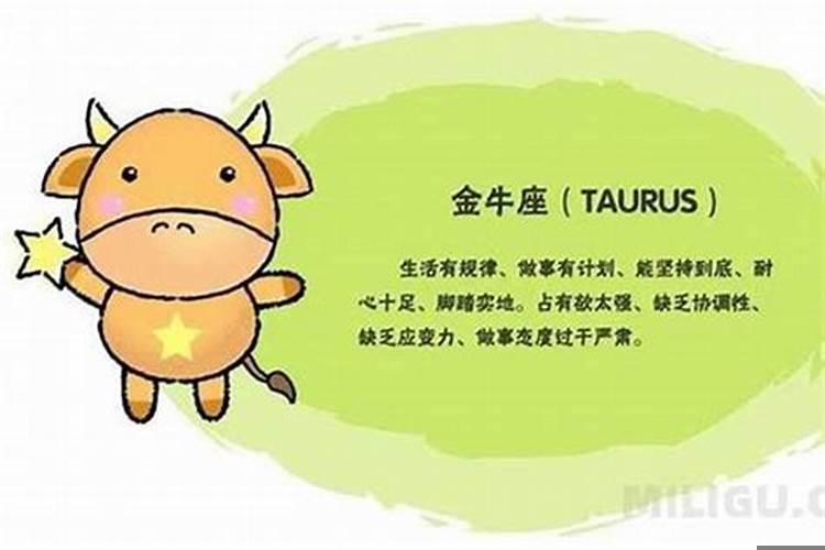 金牛座的男生什么性格