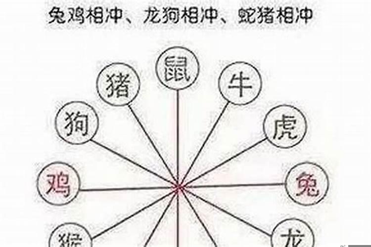 十二生肖命相相冲相克表