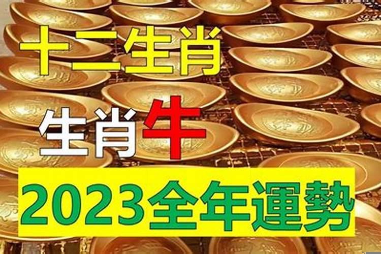 牛年12生肖运势完整版