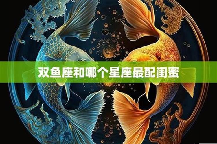 双鱼座吃定哪个星座