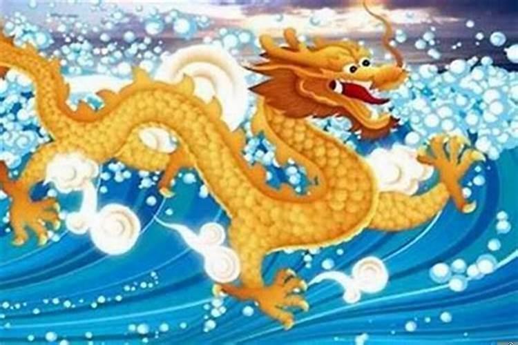 11月属龙人的运势如何