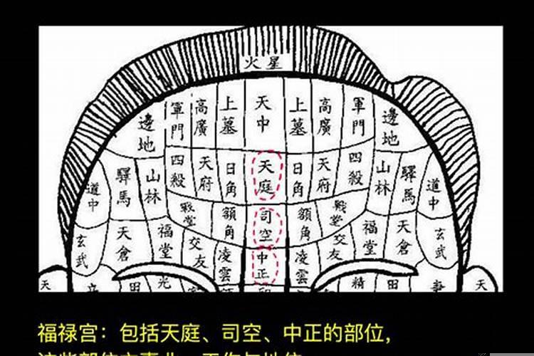 福禄命啥意思