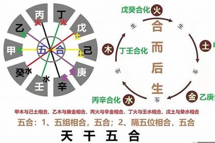 十二生肖命相相冲相克表