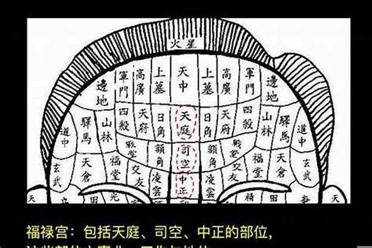 福禄命啥意思