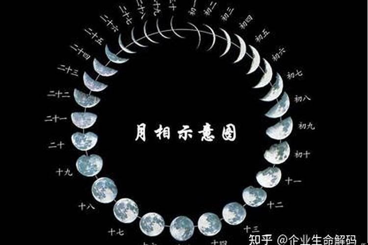 日期分为农历和什么历