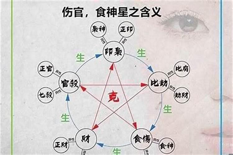 大运走食伤的特点