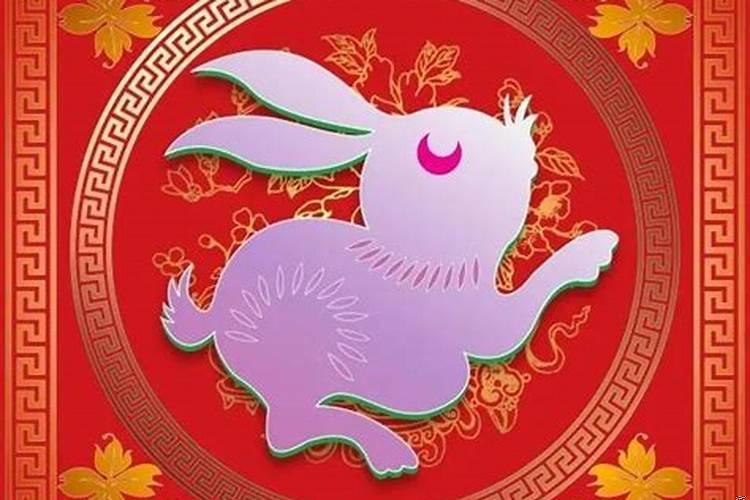属兔年运势2021运势详解