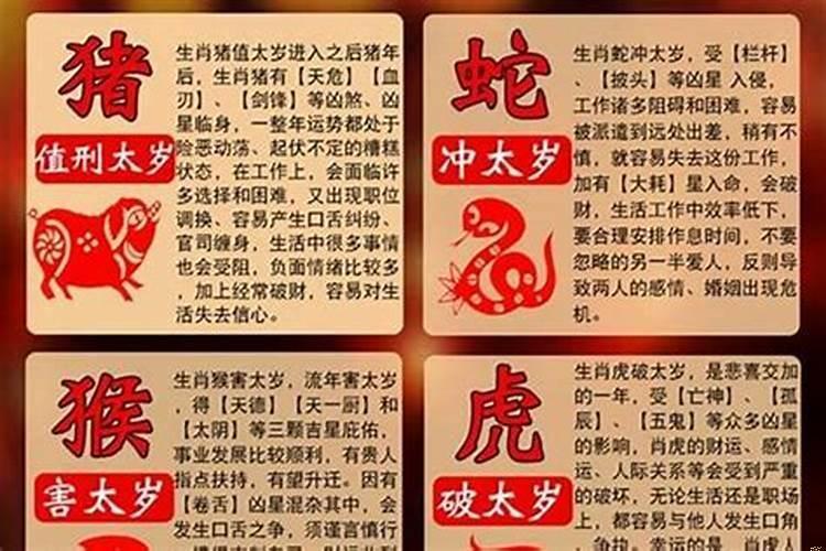 2029犯太岁生肖属相
