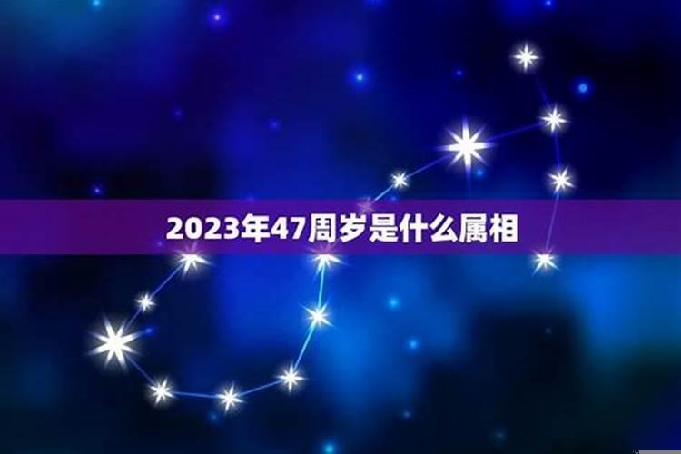 45岁属什么生肖