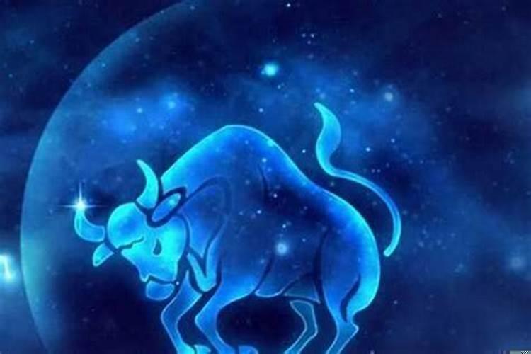 金牛座的男生什么性格