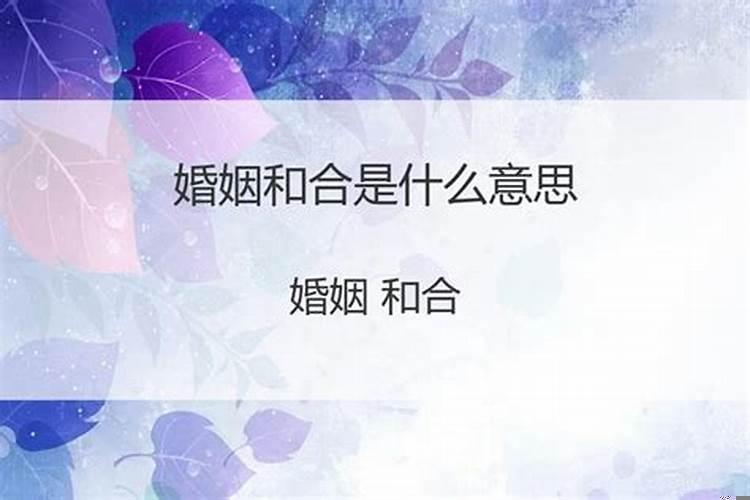 合婚与结婚是什么意思
