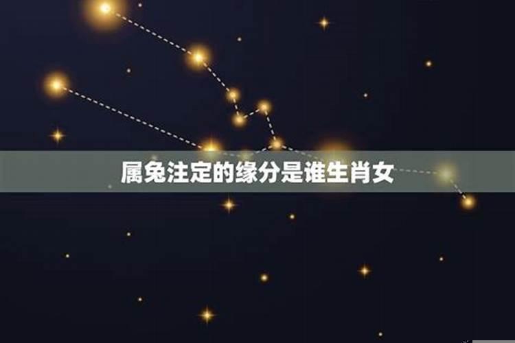 属兔注定的缘分是谁