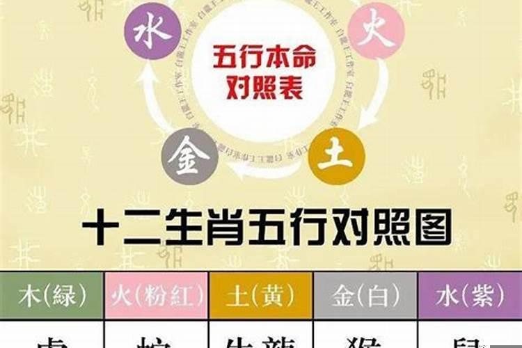 怎样算自己的五行是什么命