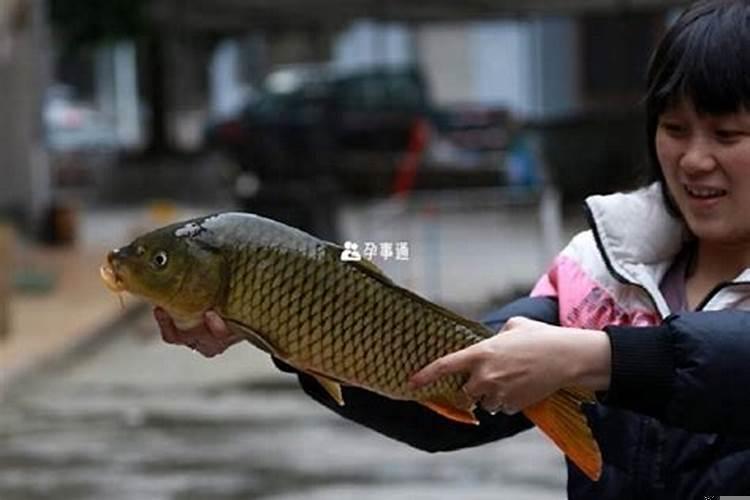 梦见买鱼周公解梦