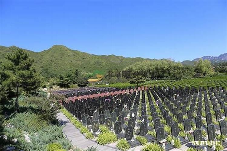 墓地东南有水池好不好