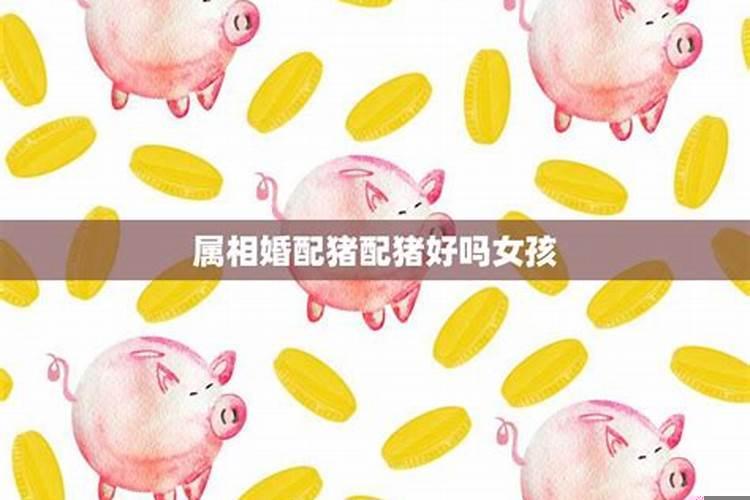 属猪人跟谁一起财运不好