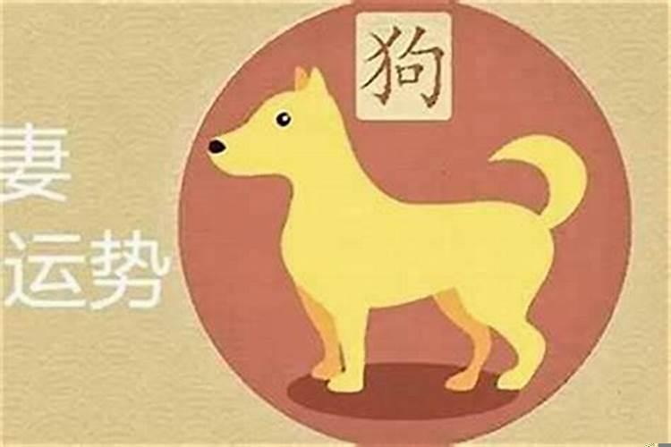 男属羊和什么属相最配婚姻