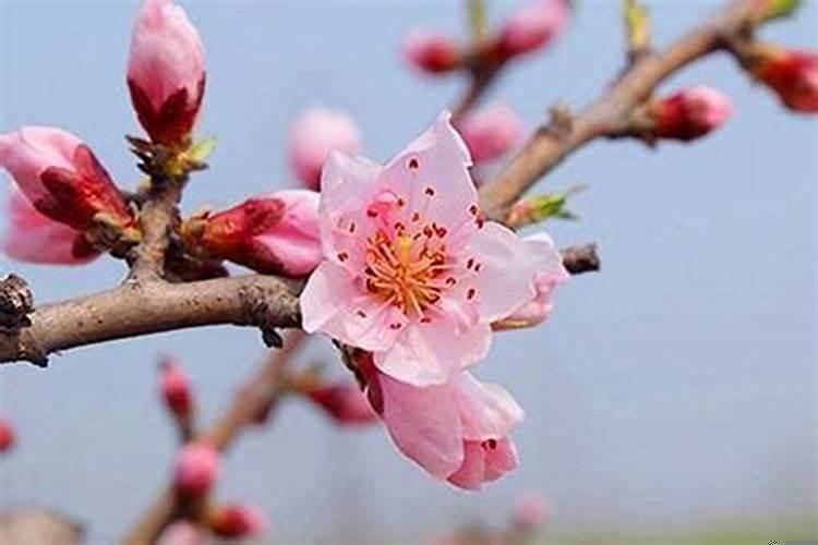 谈恋爱后破财