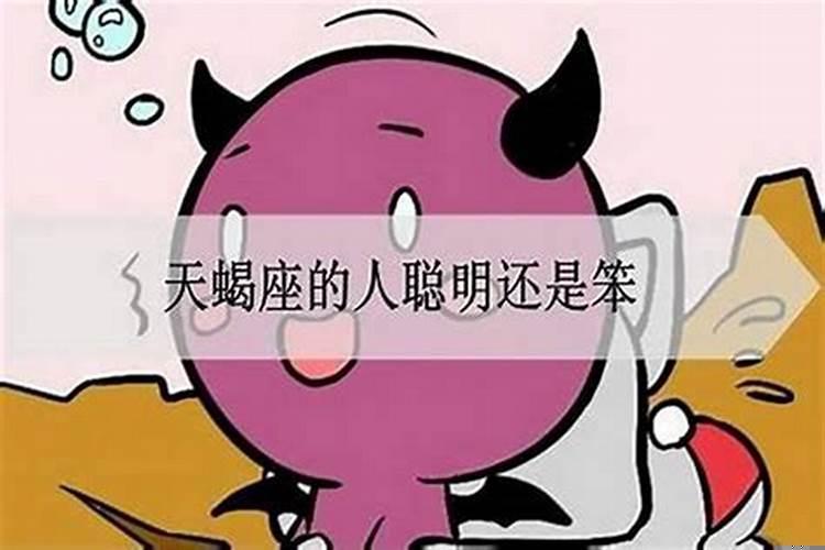 天蝎女的最聪明的三个特征是什么