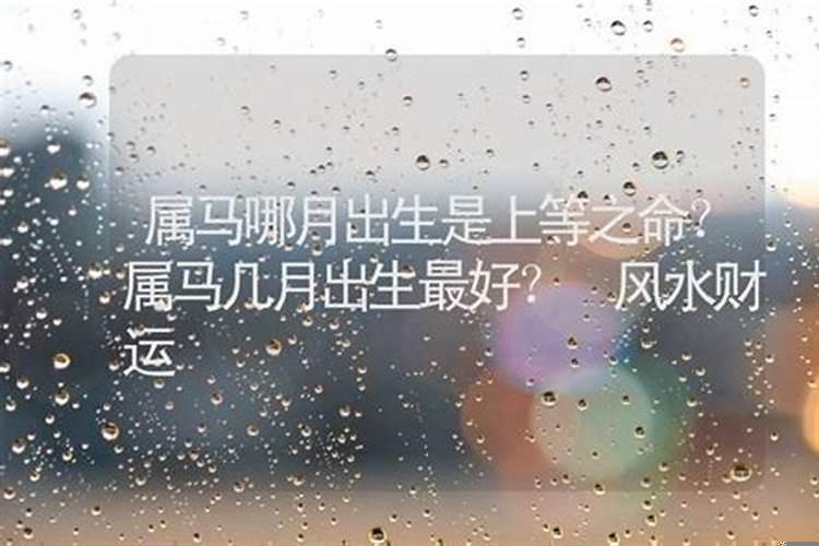 属马哪日出生是上等之命