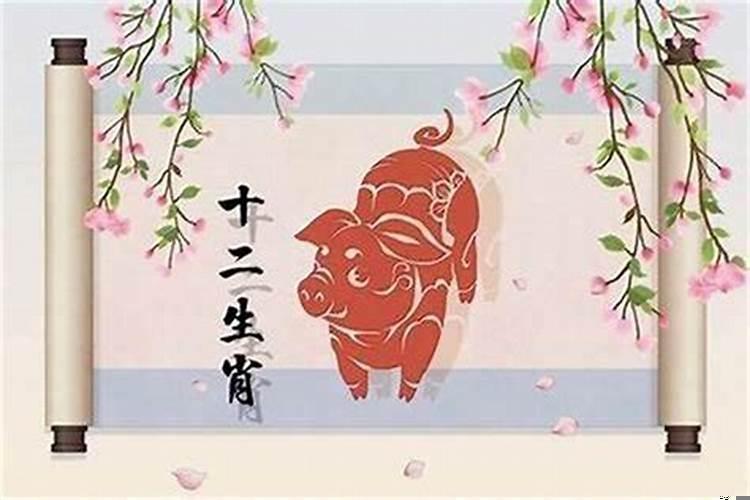 生肖猪和生肖兔合适吗