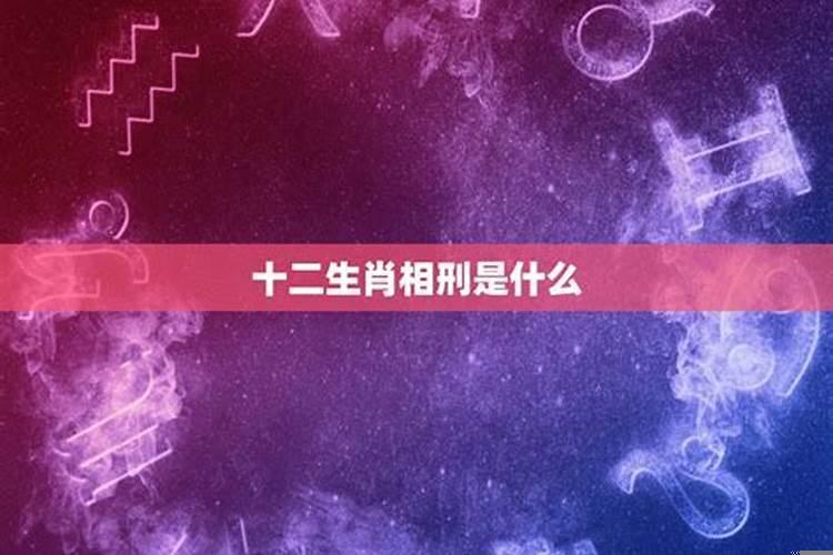 十二生肖相刑是啥意思