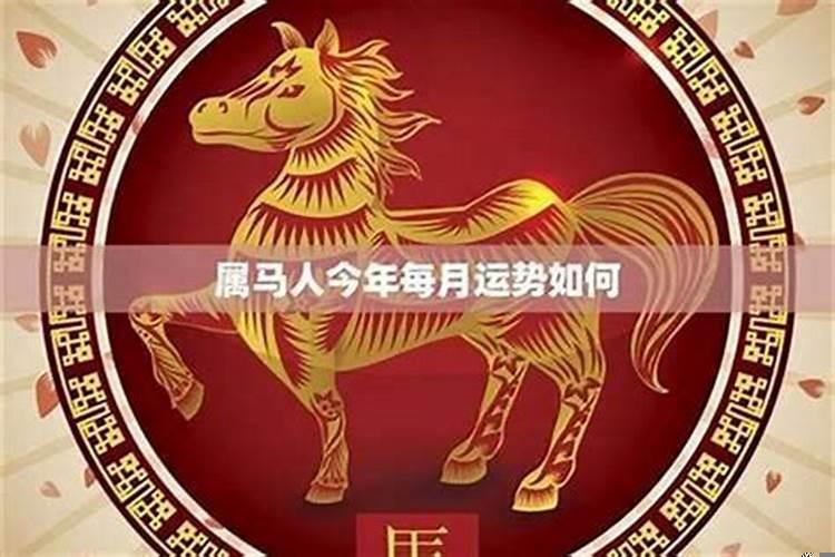 1966年生肖马女人的命运