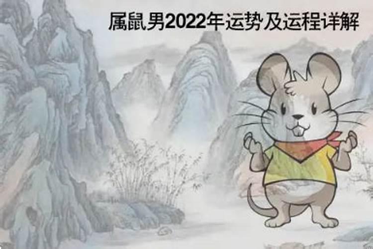 属鼠怎样提升运势