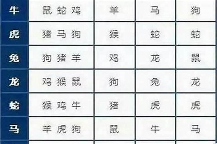 属鼠女对哪个生肖死心塌地