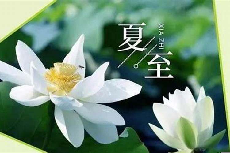 怎么算出庚日
