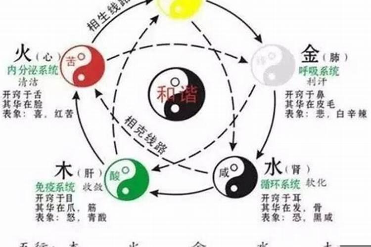 五行的运动关系包括哪些
