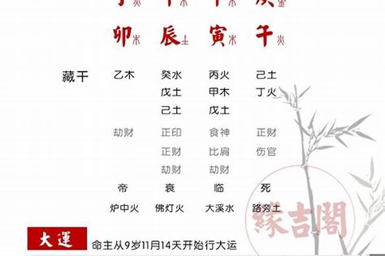 适合当算命先生的八字