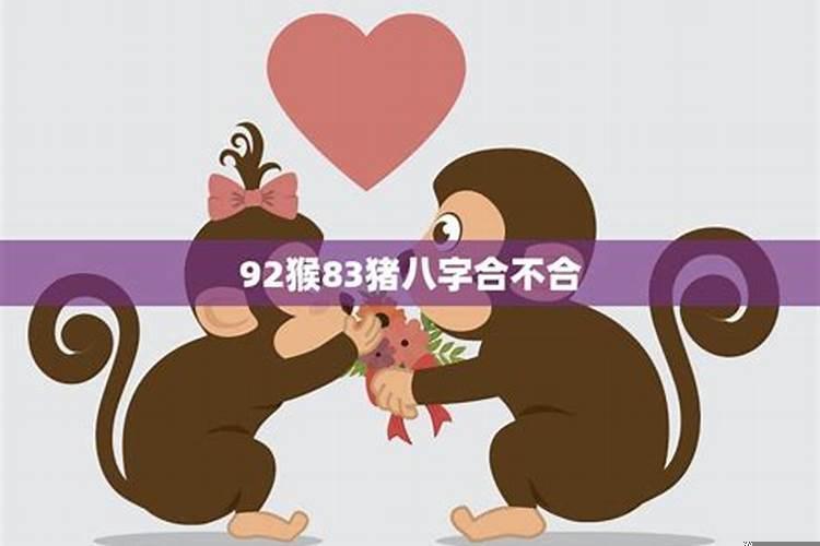 属猴的和属猪的相配吗，如何化解