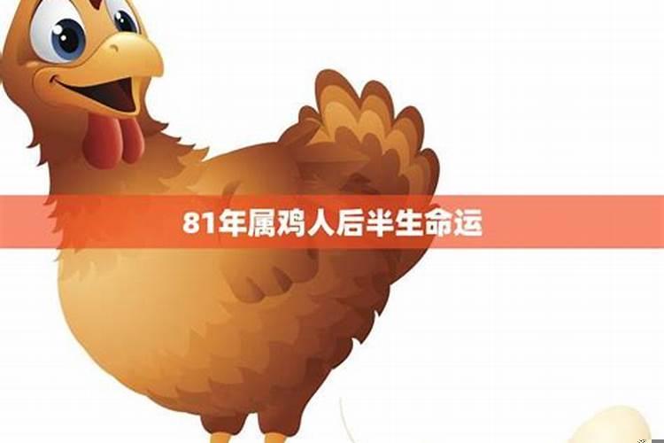 属鸡如何转运