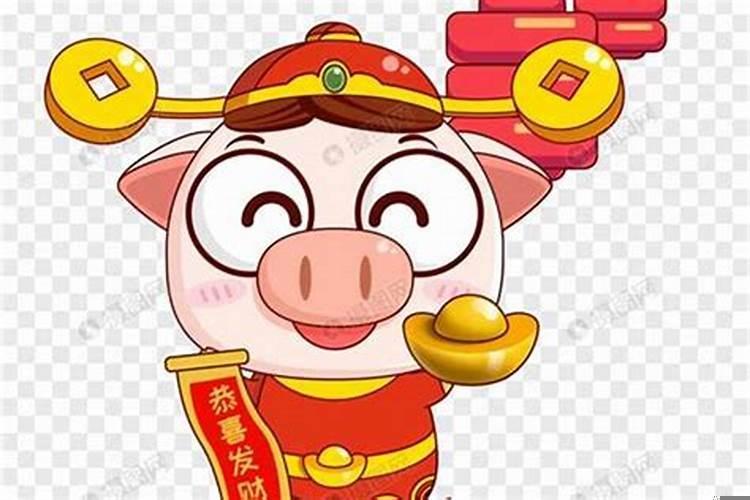属猪的会发财吗