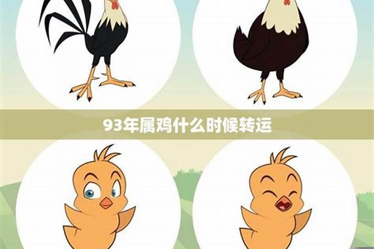属鸡如何转运