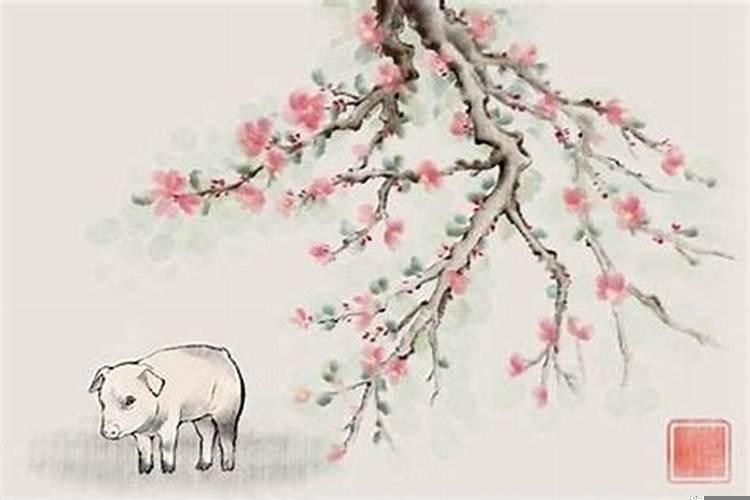 属猪的2007年女娃学业