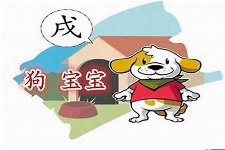 属狗的人好不好