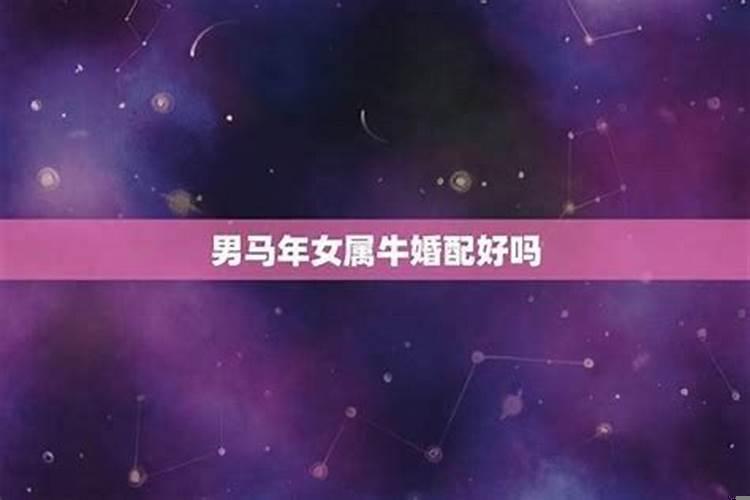 属马和属马婚姻相配吗