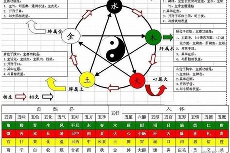 天运五行属性是什么