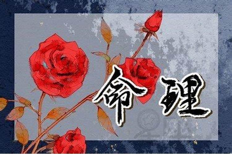 生肖兔成不了有钱人的原因是什么呢